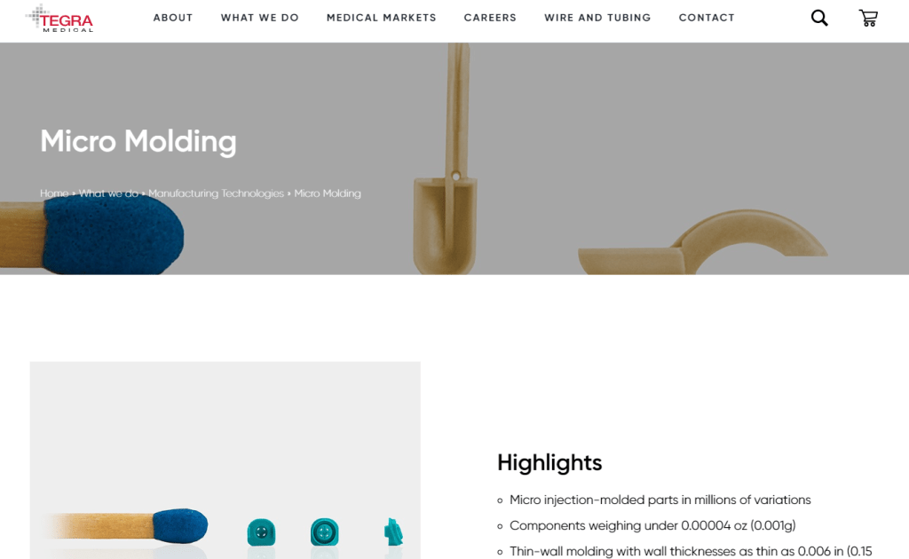 The World's Most Famous Micro Molding Companies in 2024